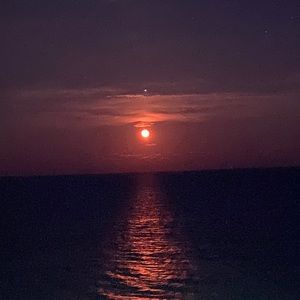 Meet your Posher, Johnny